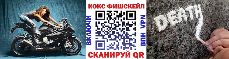 Купить закладки  Пущино  Кокаин Fish Scale 