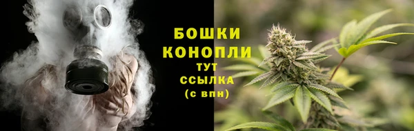 мдма Заводоуковск