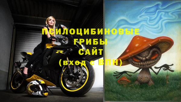 тгк Заволжск