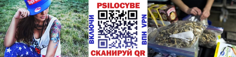 Купить закладки  Пущино  Псилоцибиновые грибы мухоморы 